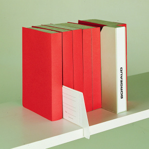 Lot de 100 fantôme-pochettes PVC - 8,5x16 cm - Blanc