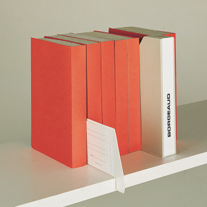 Lot de 100 fantôme-pochettes PVC - 8,5x16 cm - Blanc