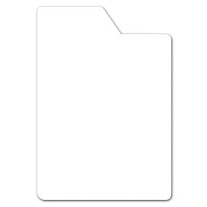Lot de 10 intercalaires BD avec onglet plexiglas ép.3 mm - L25xH35,5 cm - Transparent