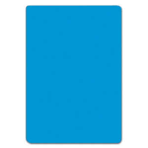 Lot de 10 intercalaires BD sans onglet PVC expansé ép.3 mm - L25xH35,5 cm - Blanc