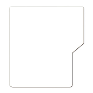 Lot de 10 intercalaires de rayonnage avec onglet plexiglas ép.3 mm - L28xH32,5 cm - Transparent