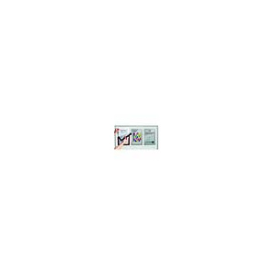 Lot de 5 supports d'informations magnétique pour surface métallique format A4 - 23,6x32,3 cm - Noir