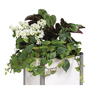 Composition florale pour bacs