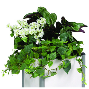 Composition florale pour bacs