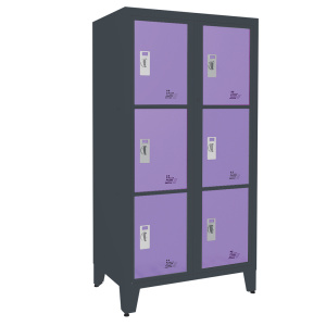 Casier élèves ECOL-LINE visitables 2 colonnes 6 cases époxy - L90xP55xH170 cm - Gris RAL 7016/lilas RAL 4005