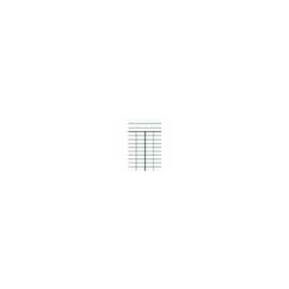 Lot de 1000 fiches de prêt à 4 colonnes - L7,5xH12,5cm