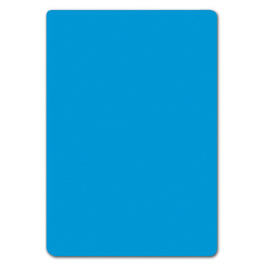 Lot de 10 intercalaires BD sans onglet PVC expansé ép.3 mm - L25xH35,5 cm