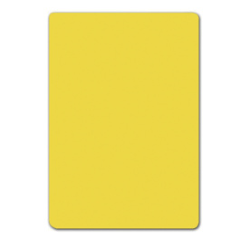 Lot de 10 intercalaires BD sans onglet polystyrène ép.1 mm - Stock