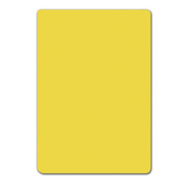 Lot de 10 intercalaires BD sans onglet polystyrène ép.1 mm - Stock