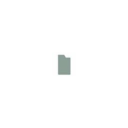 Lot de 10 intercalaires DVD avec onglet polystyrène ép.1 mm - Stock